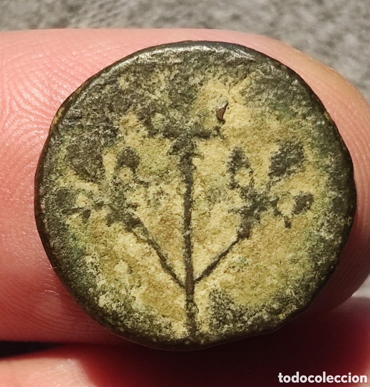 Monedas de Espa&ntilde;a: Moneda medieval Pugesa de Lleida - Foto 2