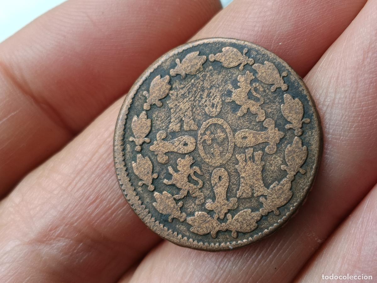 Monedas de Espa&ntilde;a: CARLOS IV - 4 MARAVEDIS - 1808 - Foto 2