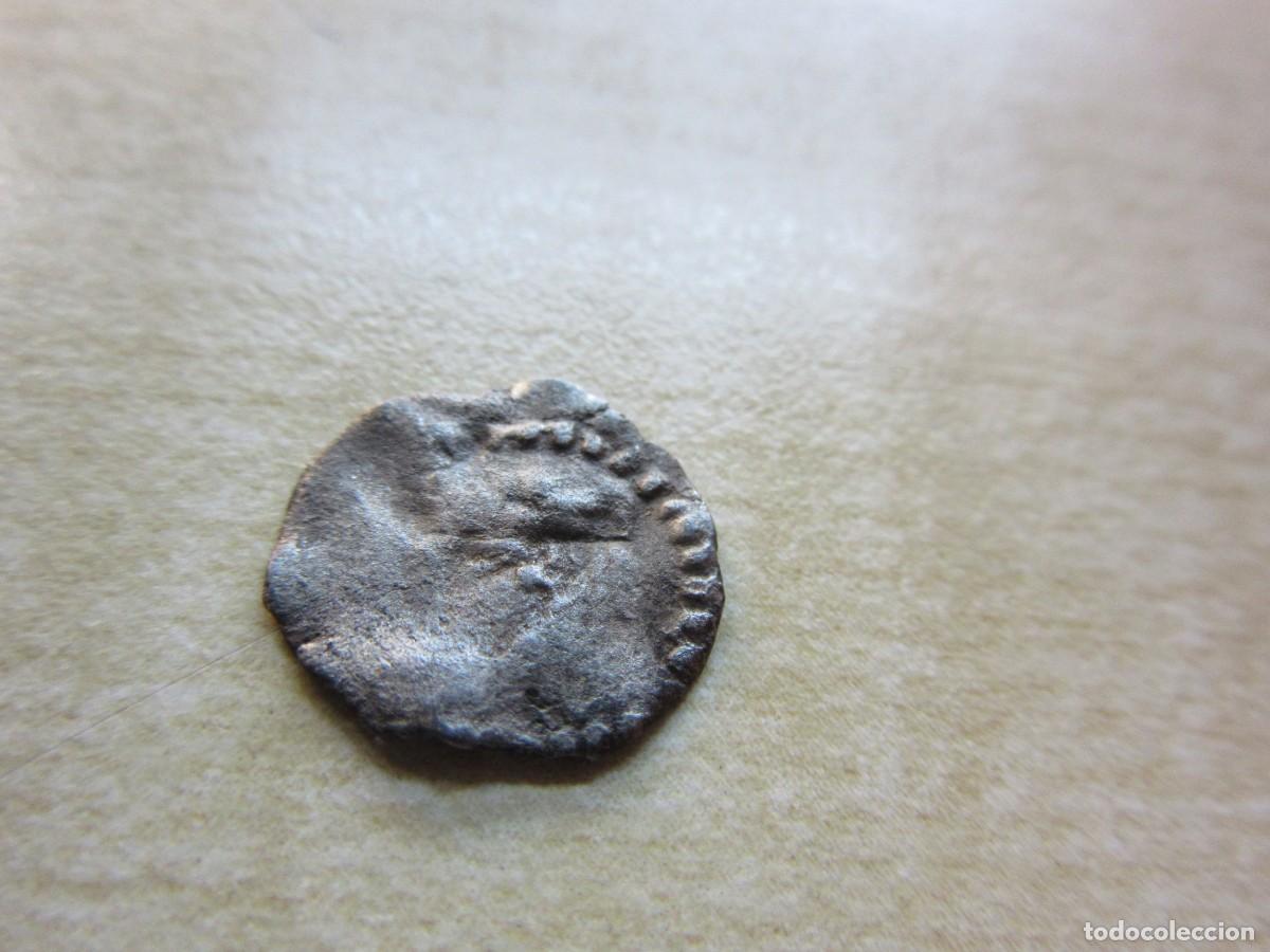 M&uuml;nzen von Spanien: Dinero de Fernando el Cat&oacute;lico o Carlos I y Juana emitido en Zaragoza
