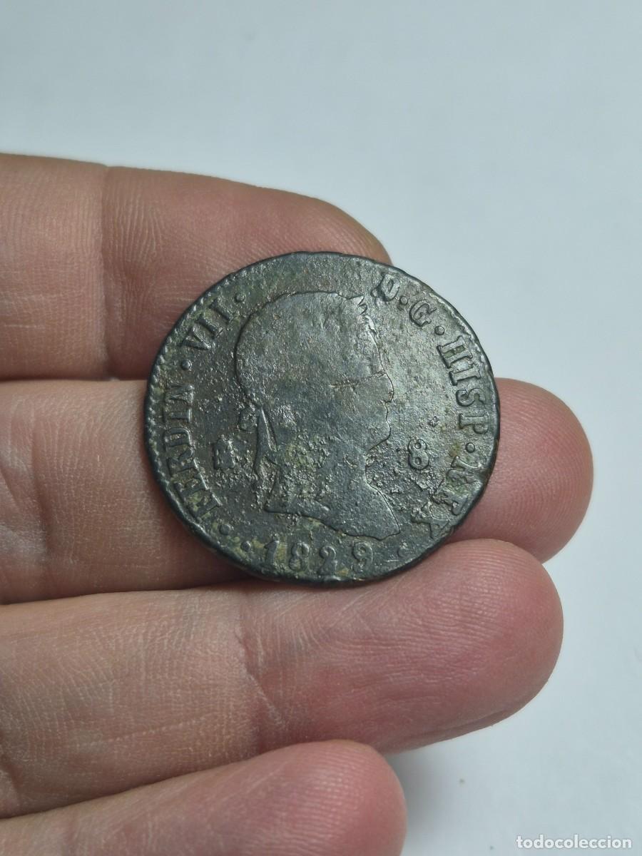 Monedas de Espa&ntilde;a: NT/ FERNANDO VII 8 MARAVEDIES 1829 SEGOVIA (E1321)