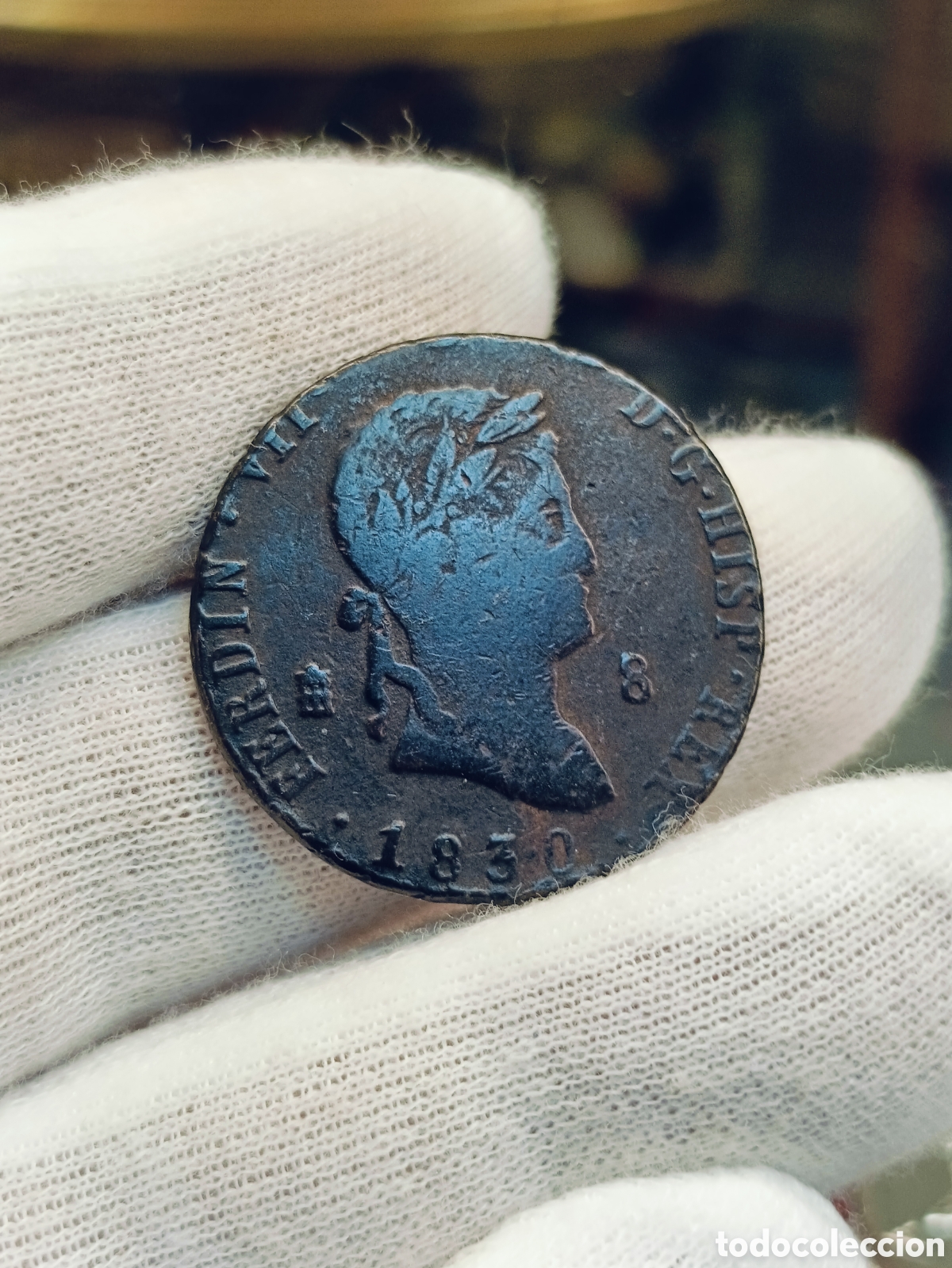 Monedas de Espa&ntilde;a: 8 MARAVEDIS . FERNANDO VII . A&Ntilde;O 1830 . CECA SEGOVIA