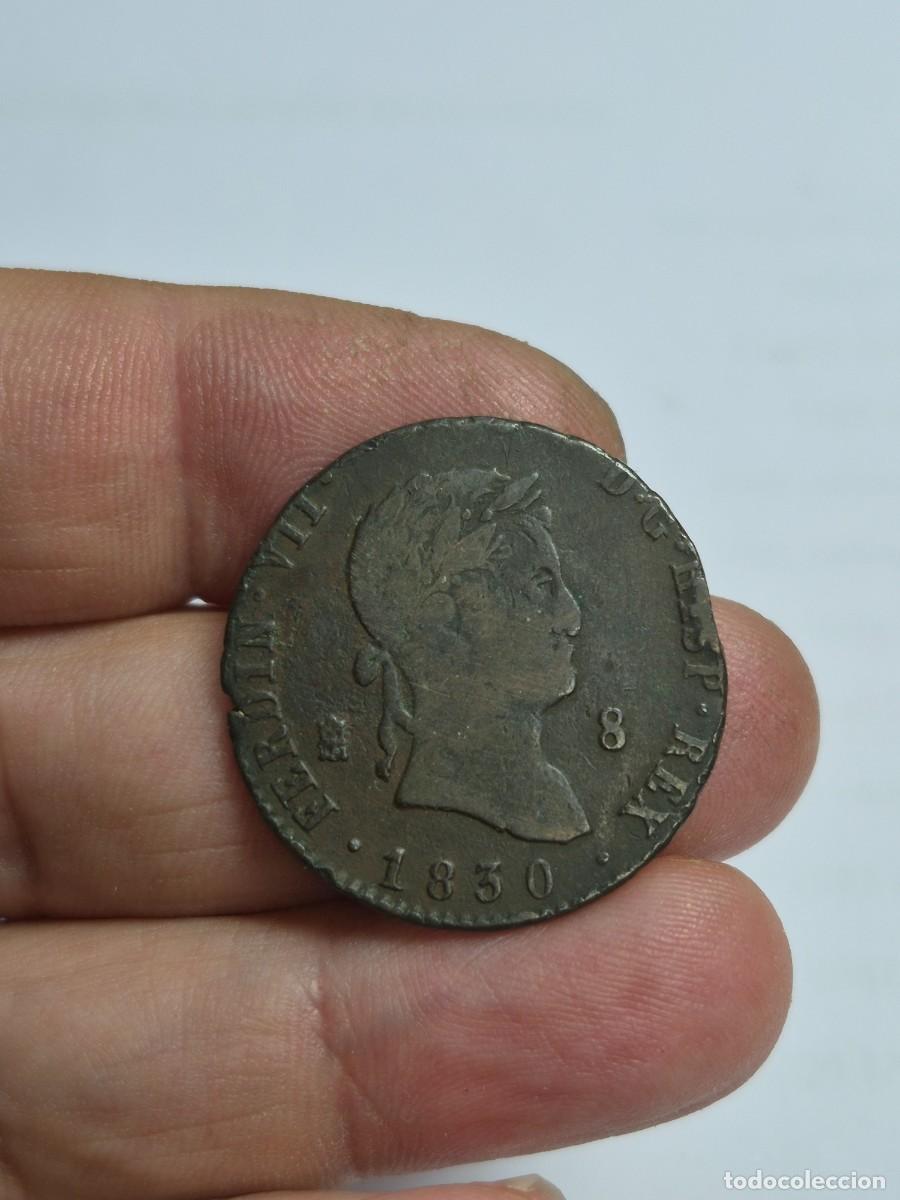 Monedas de Espa&ntilde;a: NT / FERNANDO VII 8 MARAVEDIES 1830 SEGOVIA (E1365)