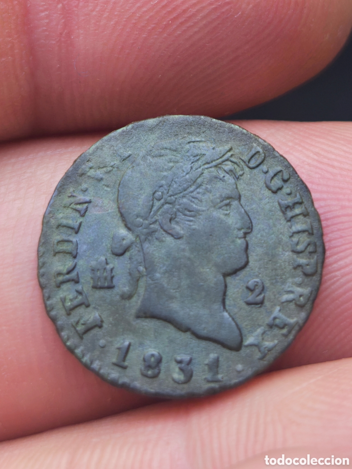 Monedas de Espa&ntilde;a: Fernando VII 1831 2 maravedis Segovia