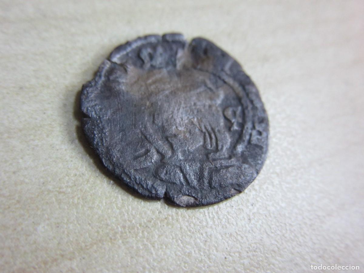 Coins of Spain: Dinero de Fernando El Cat&oacute;lico ( 1479-1516)Emitido en Zaragoza