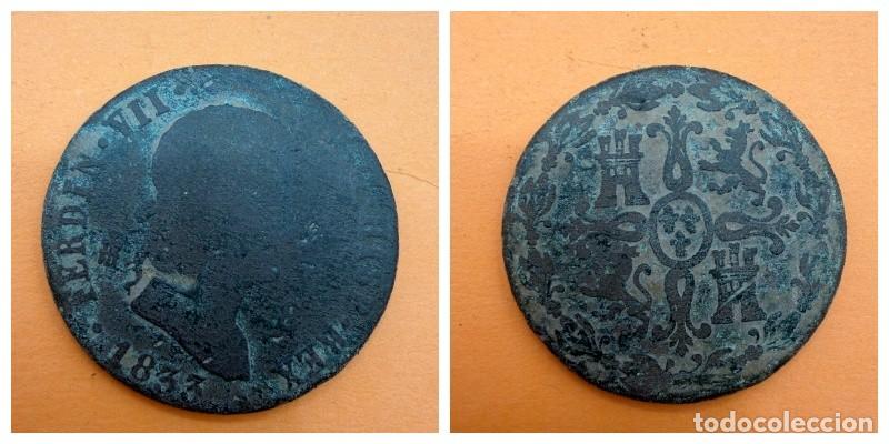 Moedas de Espanha: MONEDA. FERNANDO VII. 8 MARAVEDIS. 1833. SEGOVIA. VER FOTOS