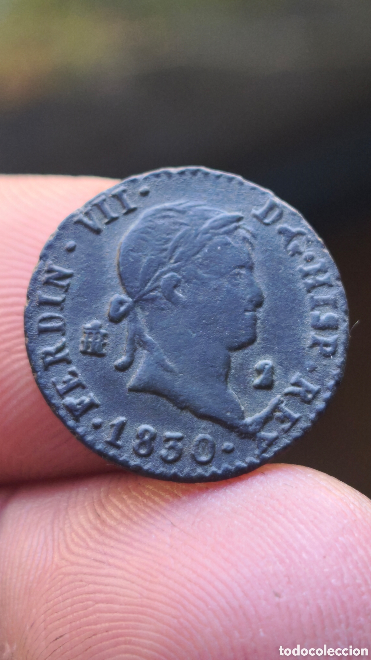 Monedas de Espa&ntilde;a: Fernando VII 1830 2 maravedis Segovia