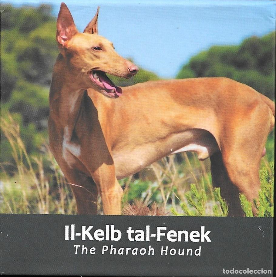Euros: MALTA 2026. MONEDA DE 2 &euro; PROOF DEDICADA AL PERRO IL-KELB TAL-FENEK. CAJA Y CERTIFICADO. S. C.