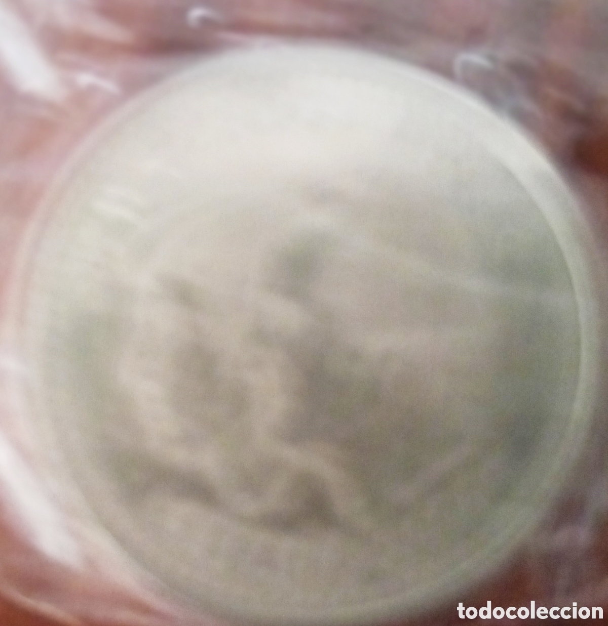 Monedas de Felipe VI: Moneda Isabel de Castilla 12&euro; del 2004 - Foto 2