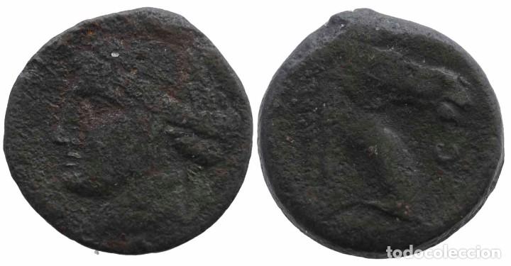 Monedas Grecia antigua: GRAN BRONCE CARTAGINES - Foto 1