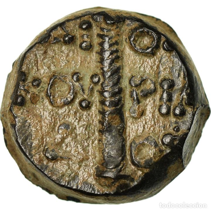 Monedas Grecia antigua: [#900983] Moneda, Kolchis, Bronze Unit, EBC, Bronce - Foto 2