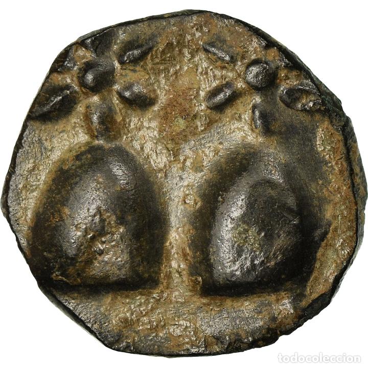 Monedas Grecia antigua: [#900983] Moneda, Kolchis, Bronze Unit, EBC, Bronce - Foto 1