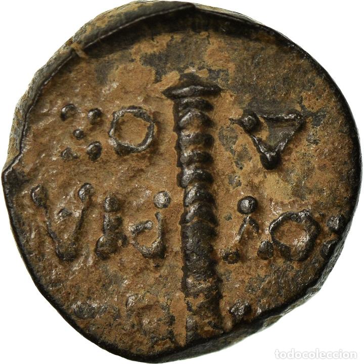 Monedas Grecia antigua: [#900982] Moneda, Kolchis, Bronze Unit, EBC, Bronce - Foto 2