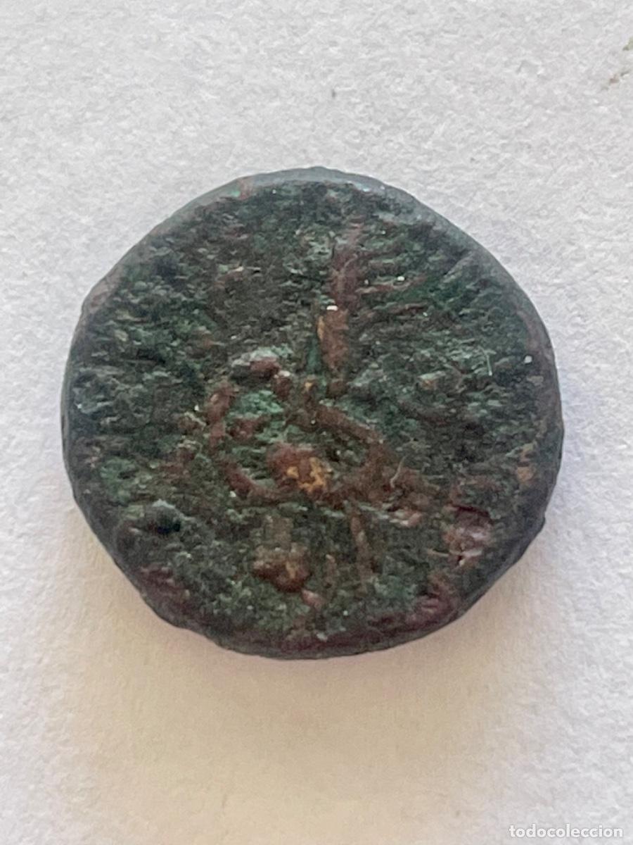 Monedas Grecia antigua: MONEDA GRIEGA NUM 3 - Foto 2