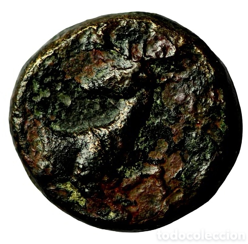 Monedas Grecia antigua: Moneda Griega AA586-180080082 010 00000 7