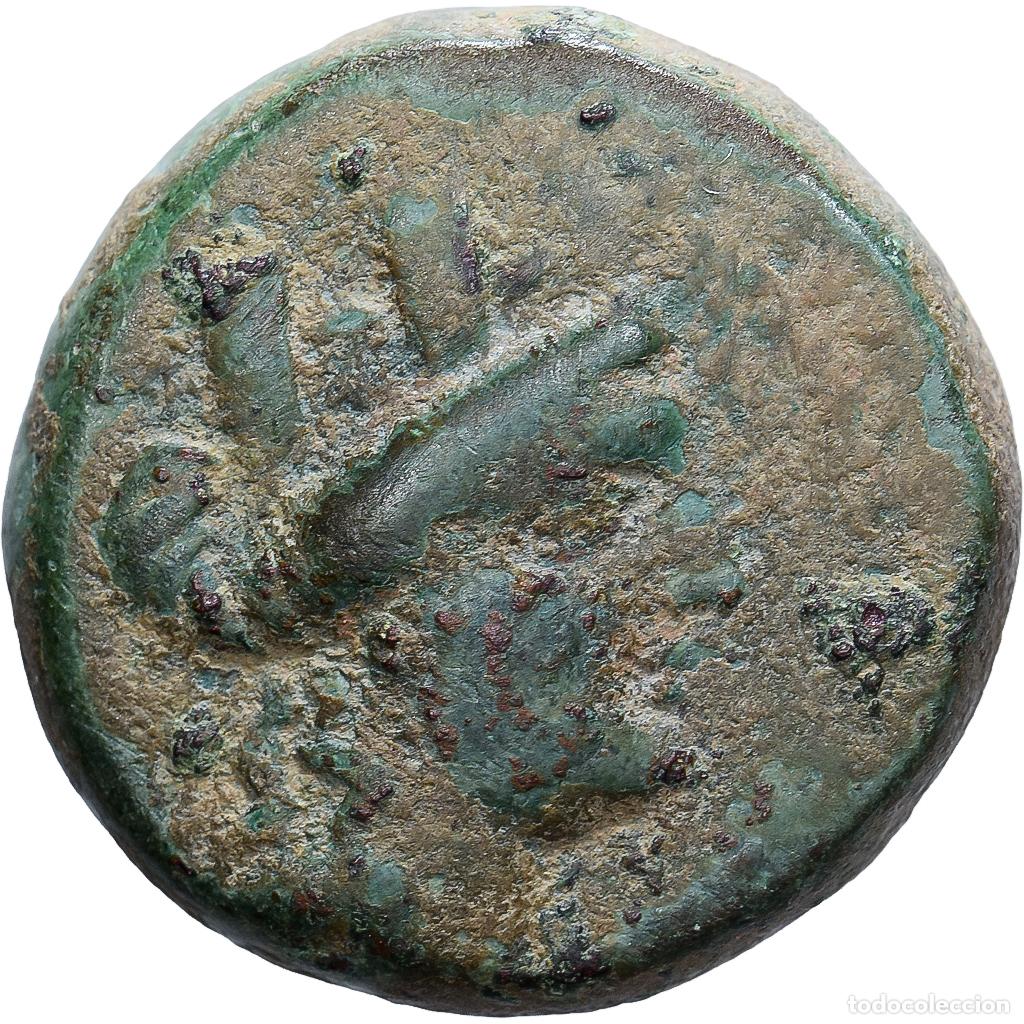 Monedas Grecia Antigua: [#139340] Cilicia, &AElig; Unit, 164-47 BC, Aegae, Bronce, BC+