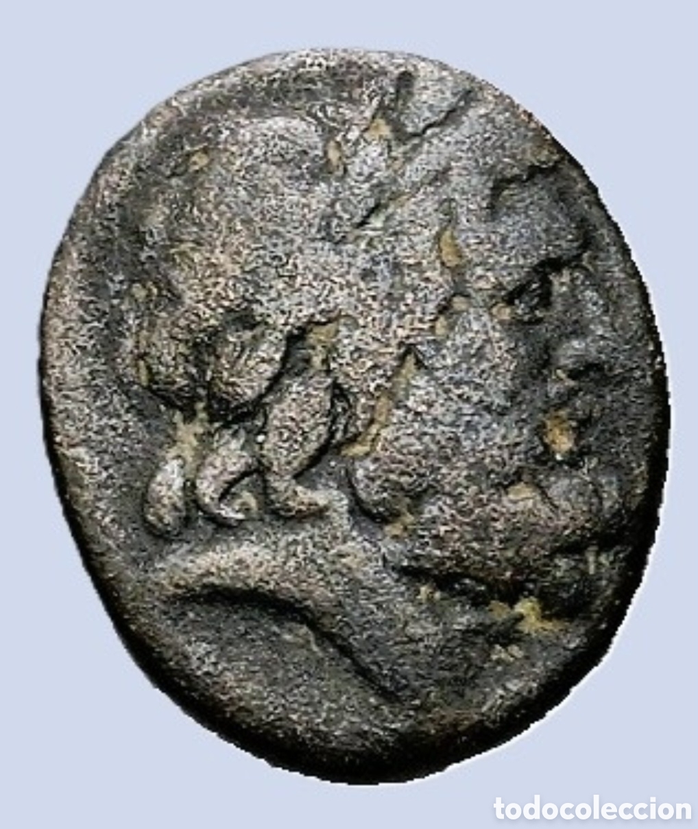Monedas Grecia Antigua: Apameia. (Hacia 133-48 a. C.). Diodo, magistrado Bronce AE (18,9mm 8g) EN MBC