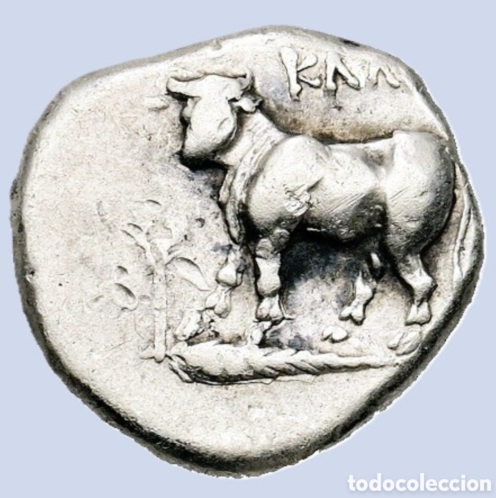 Monedas Grecia Antigua: DRACMA BITINIA. Calcedonia. (Circa. 367/6-340 a. C.) Dracma de plata (16,1 mm, 3,7 g) AR