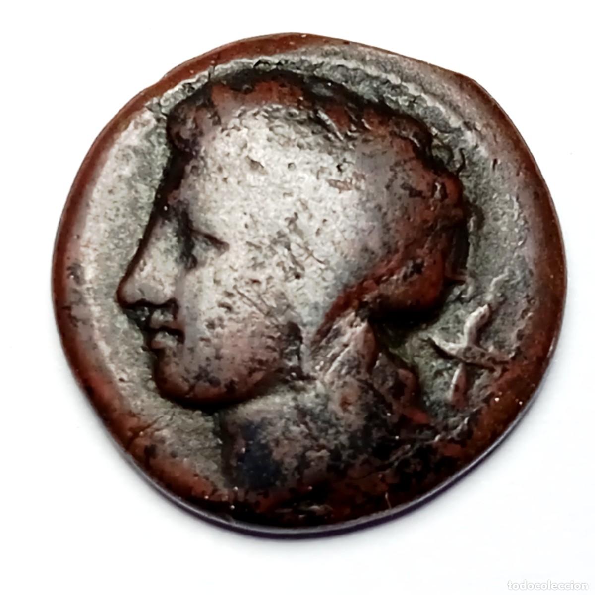 Monedas Grecia Antigua: ⚜️ BBF6 6. Bronce de Siracusa, Sicilia. Apolo y Pegaso. 4,11 g. AE 16
