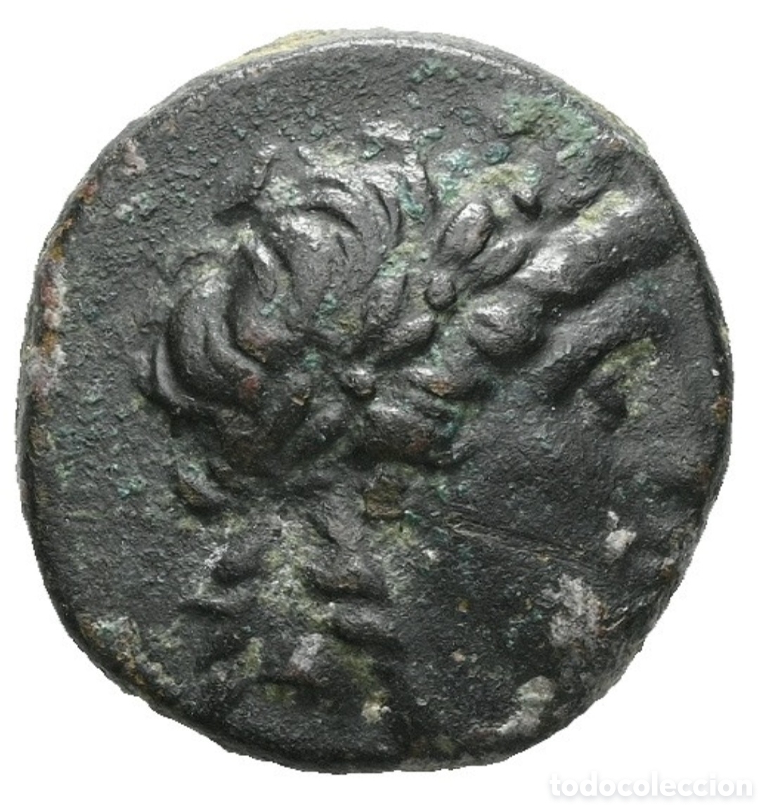 Monedas Grecia Antigua: Moneda de la antigua Grecia Antiocho II Theos Reino seleucida a&ntilde;o 261-243 A.d.c