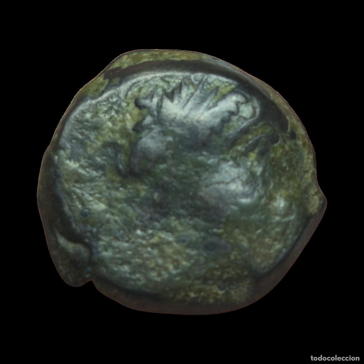 Monedas Grecia Antigua: NT/ BRONCE GRIEGO SELE&Uacute;CIDAS AE13 DEMETRIO I (A1050)