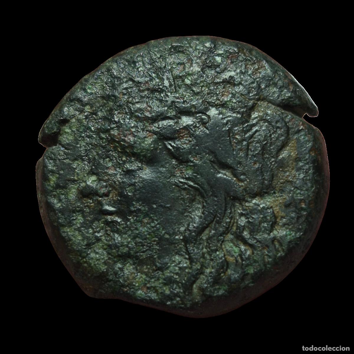 Monedas Grecia Antigua: NT/ GRECIA BRONCE SICILIA TAUROMENIO HEMILITRON 336-317 AC ESCASA (A914)
