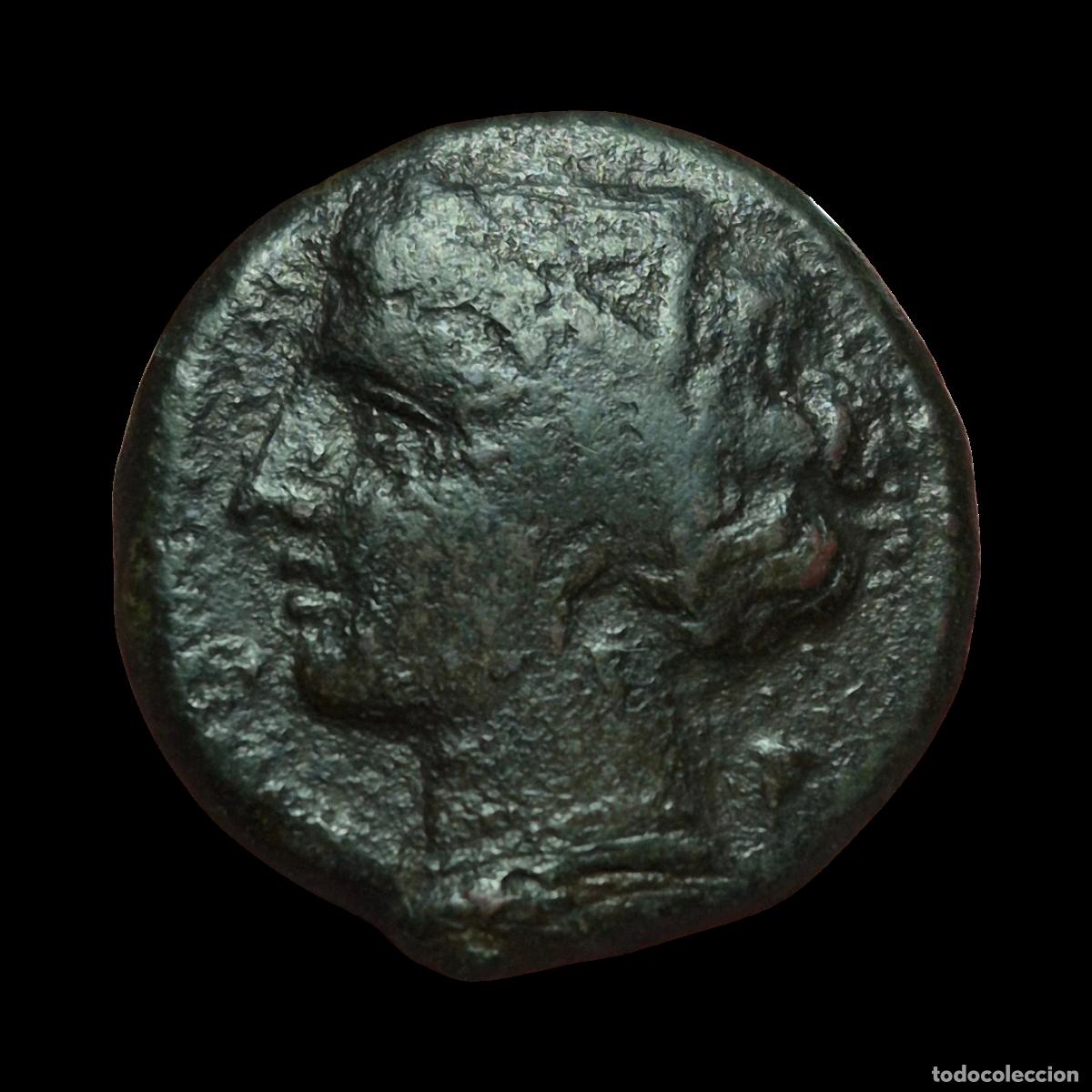 Monedas Grecia Antigua: NT/ GRECIA BRONCE SICILIA HIERON II AE20 275-269 AC (A913)