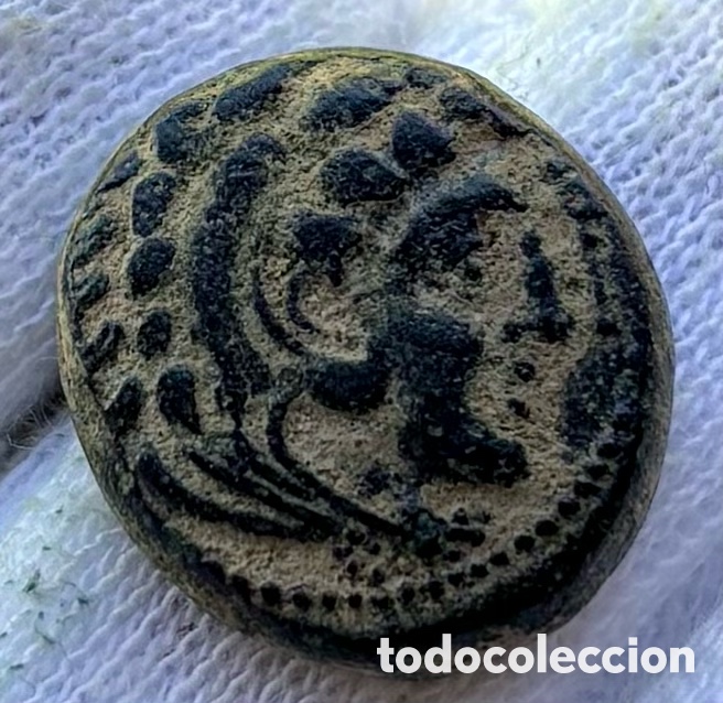 Monedas Grecia Antigua: Moneda ALEJANDRO MAGNO . Reino Macedonia (336-323 a.C) Alexander III