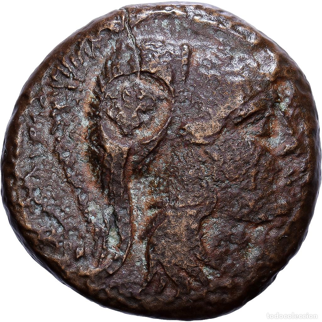 Monedas Grecia Antigua: [#1545569] Kingdom of Macedonia, Antigonos Gonatas, Bronze Unit, 274-229, Uncertain Mint