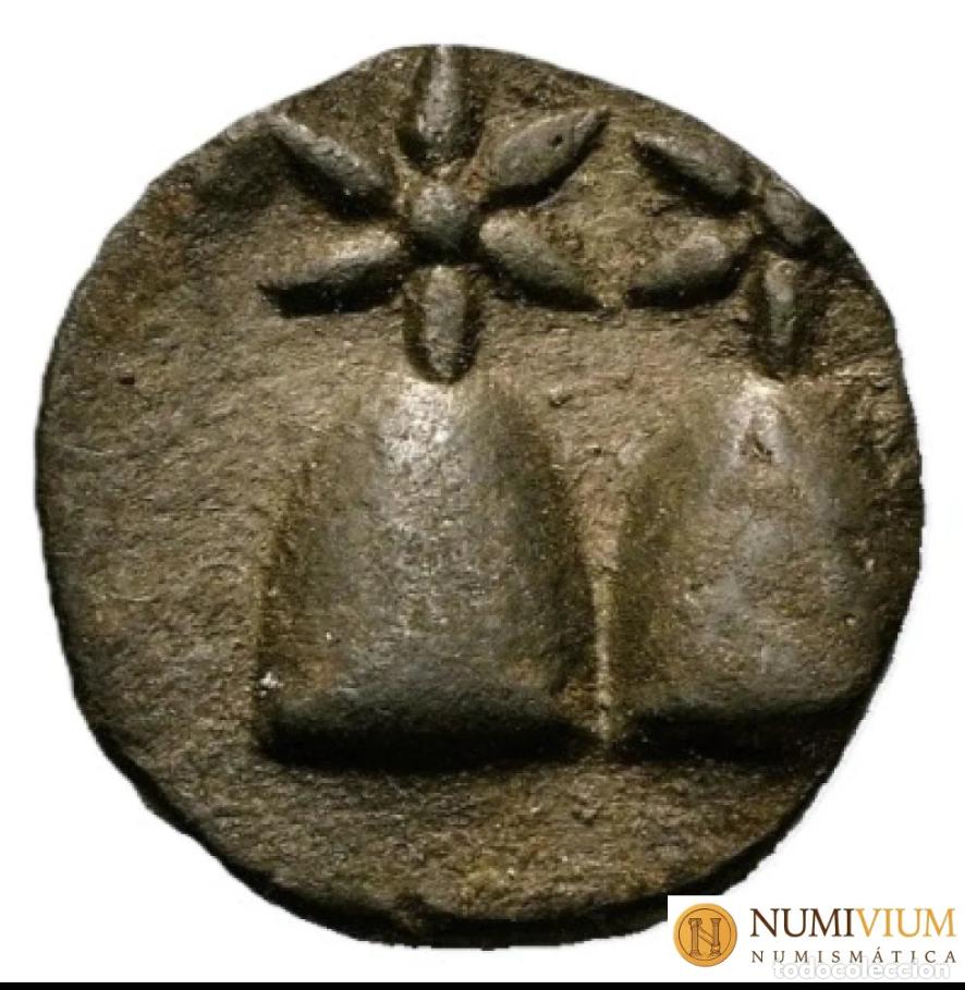 Monedas Grecia Antigua: Reino del Ponto &middot; Mitr&iacute;dates VI Eup&aacute;tor &middot; Bronce &middot; c. 105&ndash;90 a.C. Dioscurias