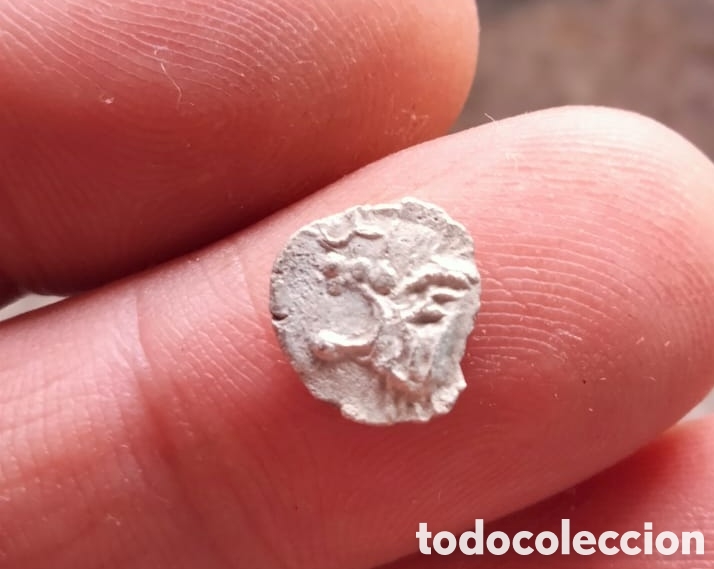 Ancient Greece Coins: Obolo de Mysia, Kyzicos