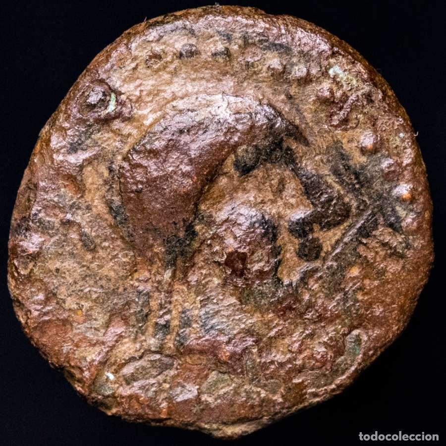 Monedas Grecia antigua: Mauretania, ceca &Scaron;M&Scaron; (Semes) desconocida en Marruecos. Unidad de bronce. Estrella