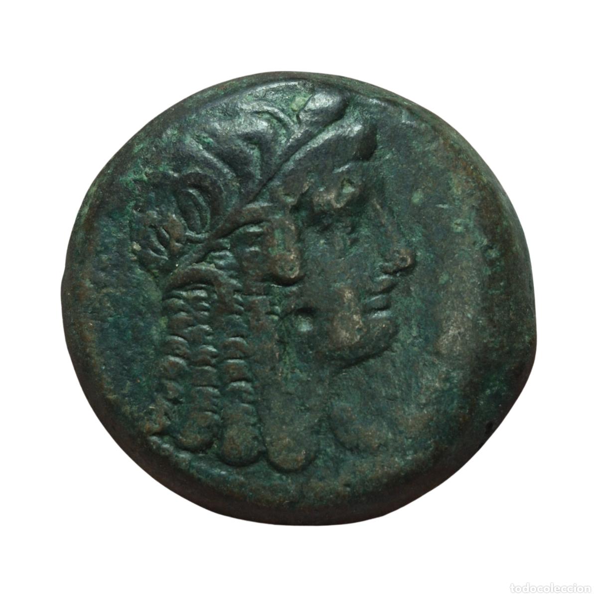 Monedas Grecia antigua: NT / BRONCE PTOLEMEO VI PHILOMETOR (A1230)