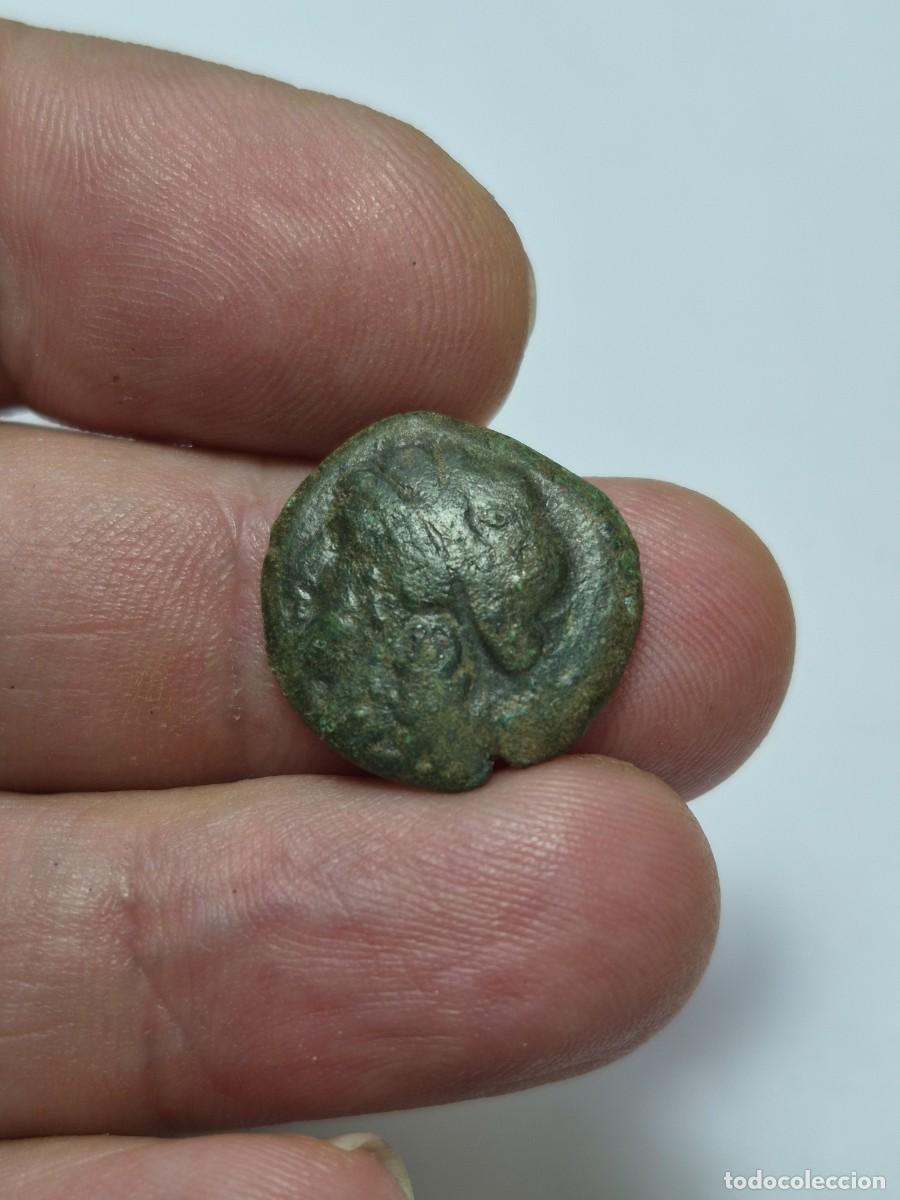 Monedas Grecia antigua: NT/ BRONCE CAMPANIA NEAPOLIS 270-240 a.C. 4,80 grs (A894)