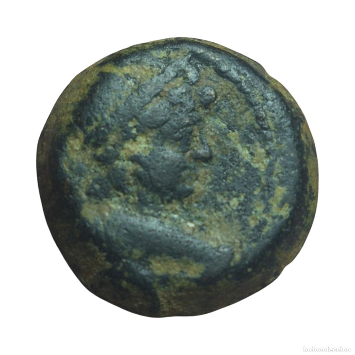 Monedas Grecia antigua: NT/ BRONCE REINO SELEUCIDA ANTIOCOS VII 138-129 d.C. 5,65 grs (A896)