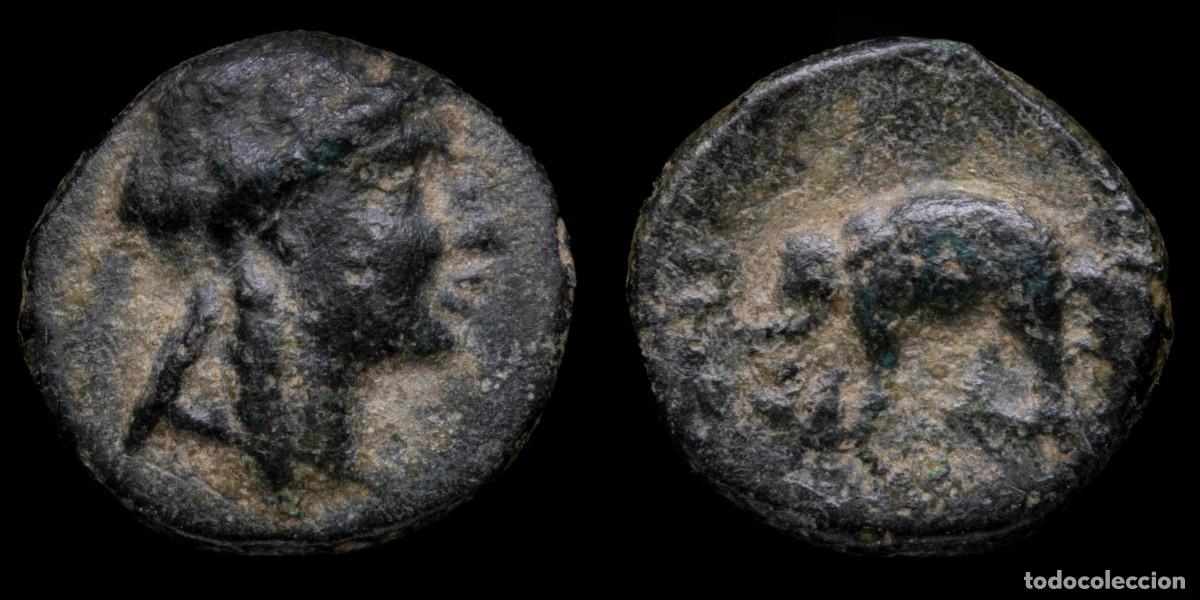 Monedas Grecia antigua: Greek Empire, Tigranes V Dichalkon, Kings of Armenia - 12 mm / 1,46 gr.