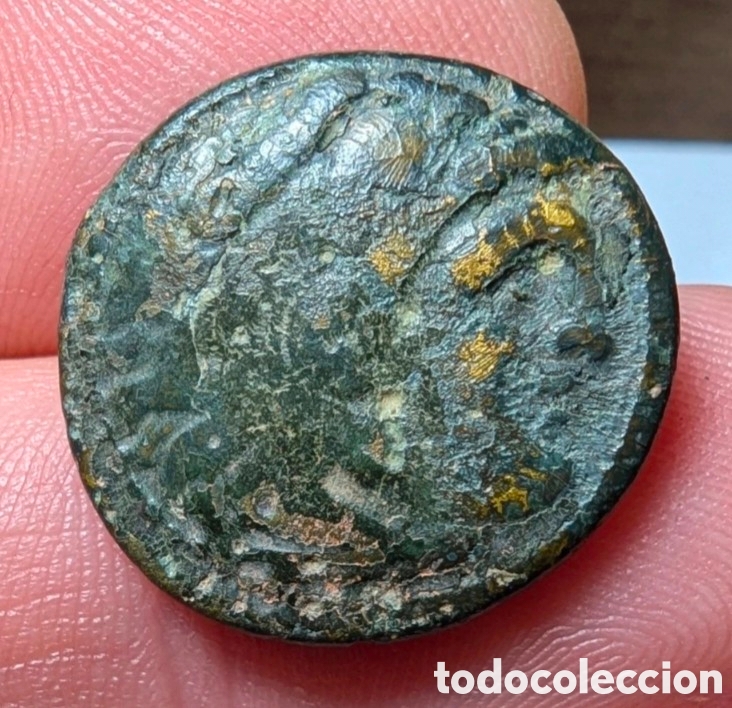 Monedas Grecia antigua: Moneda griega Alejandro Magno 336-323 a.C. &rdquo;contramarca Apolo&rdquo;