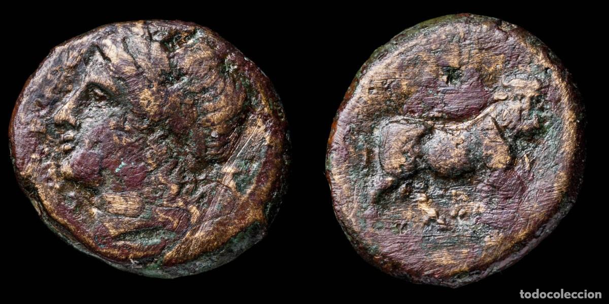 Monedas Grecia antigua: Greek Bronze, Samnium Aesernia (263-240 b.C.) - 21 mm / 6,72 gr.