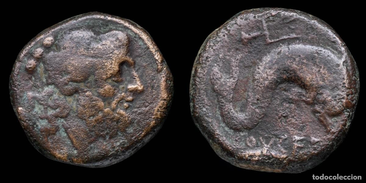 Monedas Grecia antigua: Greek Teruncius, Apulia Luceria (211-200 b.C.) - 20 mm / 8,41 gr.