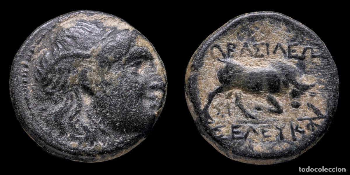 Monedas Grecia antigua: Greek Bronze Seleukos I Nikator, Sardes? (312-281 b.C.) - 14 mm / 2,70 gr.