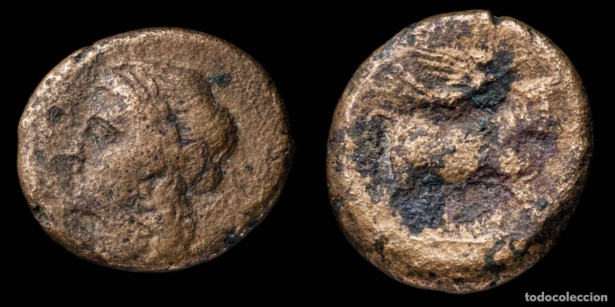 Monedas Grecia antigua: Greek Bronze, Samnium Aesernia (263-240 b.C.) - 20 mm / 6,46 gr.