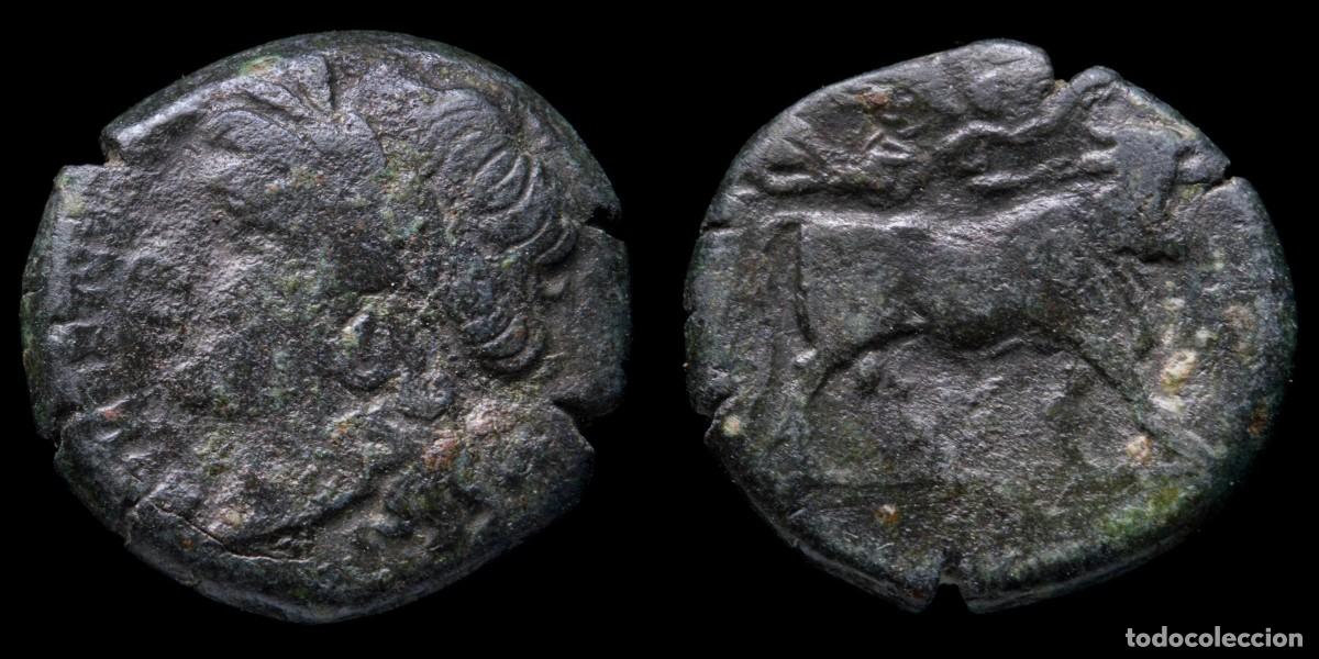 Monedas Grecia antigua: Greek Bronze, Samnium Aesernia (263-240 b.C.) - 18 mm / 5,03 gr.