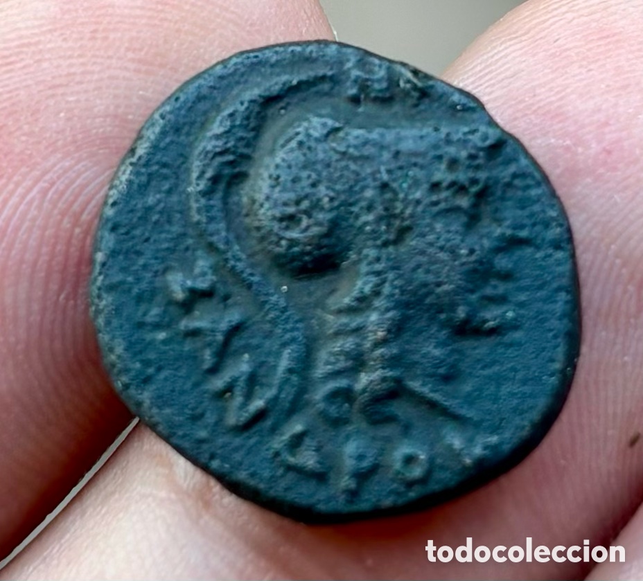 Monedas Grecia antigua: Moneda ANTIGUA GRECIA . Tesalia Atenas(450-100 a.C) Caballo