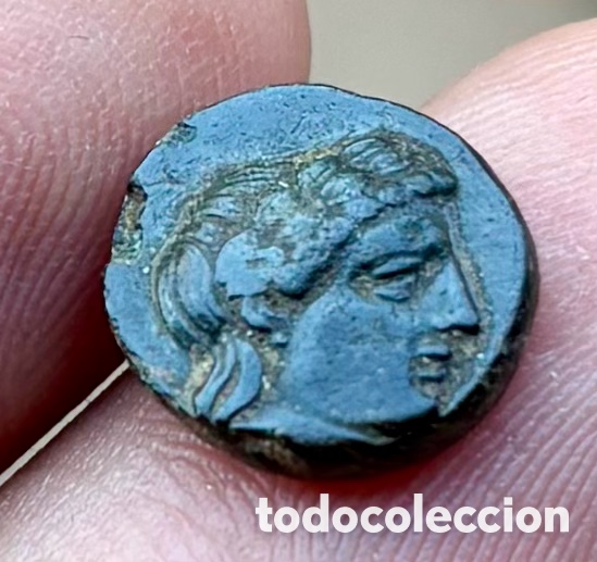 Monedas Grecia antigua: Moneda ANTIGUA GRECIA. Troas Neandria (430-310 a.C) Apolo. Ma&iacute;z Uvas