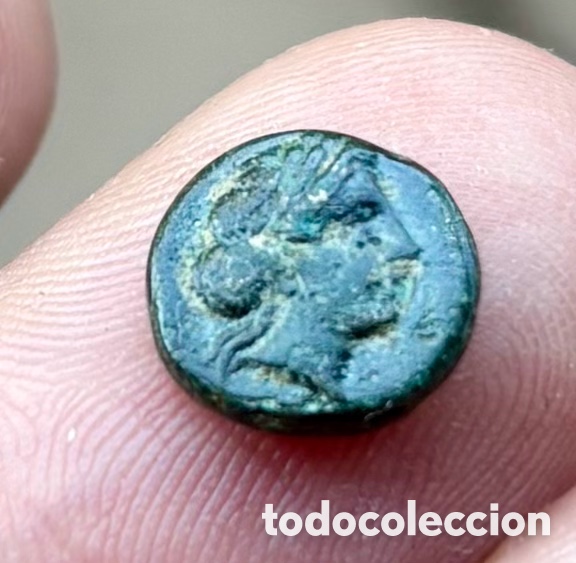 Monedas Grecia antigua: Moneda ANTIGUA GRECIA . Troas Kebren (350-310 a.C) Apolo. Carnero
