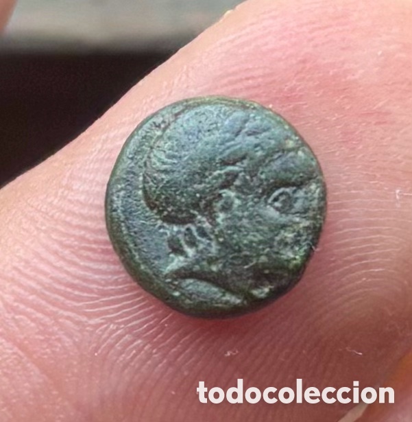 Monedas Grecia antigua: Moneda ANTIGUA GRECIA .Aiolis Aigai (350-100 a.C) Apolo. Cabra