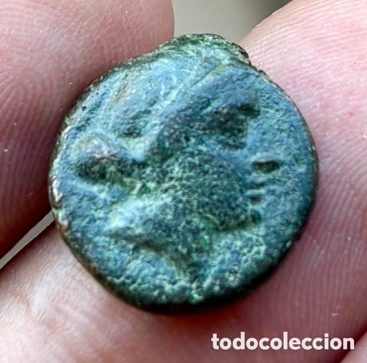 Monedas Grecia antigua: Moneda ANTIGUA GRECIA . Aiolis Kyme (350-250 a.C) Caballo