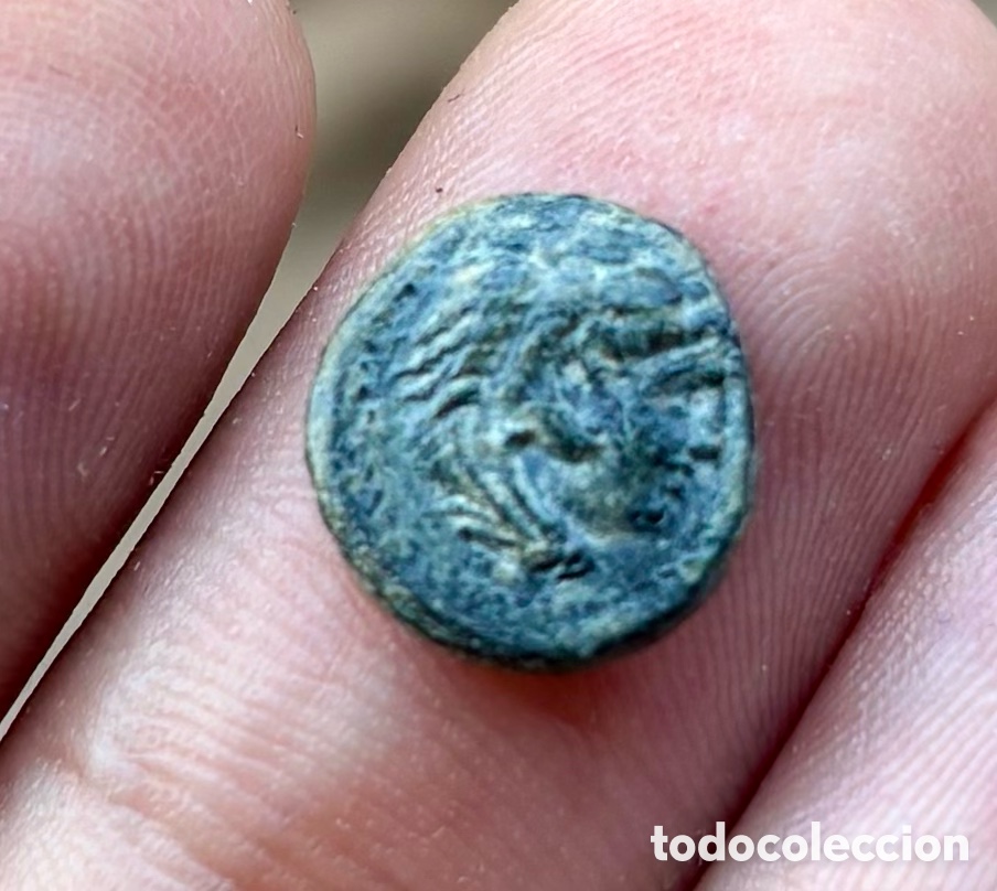 Monedas Grecia antigua: Moneda ALEJANDRO MAGNO . 1/4 Unidad . Reino Macedonia (336-323 a.C)