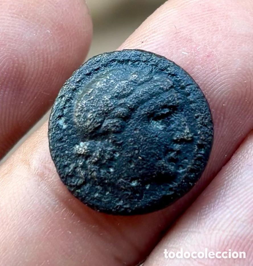 Monedas Grecia antigua: Moneda ANTIGUA GRECIA . Aiolis Myrina (250-150 a.C) Apolo. &Aacute;nfora Arpa