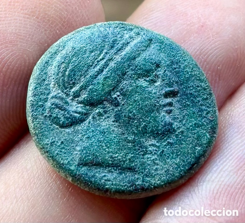 Monedas Grecia antigua: Moneda ANTIGUA GRECIA. Aiolis Kyme (250-200 a.C) Caballo