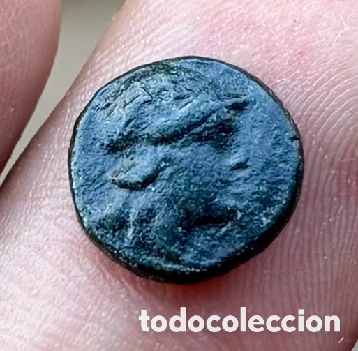 Monedas Grecia antigua: Moneda ANTIGUA GRECIA .Aiolis Myrina Atena (250-150 a.C) Apolo. &Aacute;nfora